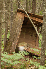 Old abandoned wooden outhouse in the woods. Ancient privy in the forest surrounded by ferns. Broken outbuilding covered in pine needles.