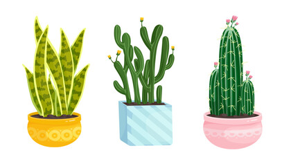 Set of indoor plants succulents, cacti in veramic flower pots.Vector graphics.