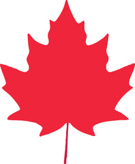 Flat leaves icons. Vector illustration.