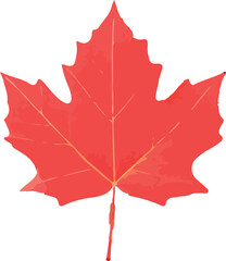 Flat leaves icons. Vector illustration.