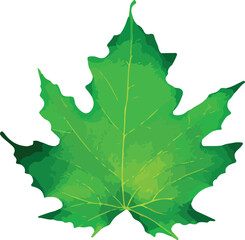 Flat leaves icons. Vector illustration.