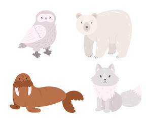 Set Of Arctic Animals Owl, Polar Bear, Walrus, Arctic Fox Isolated On White Background. Wildlife North Pole Creatures