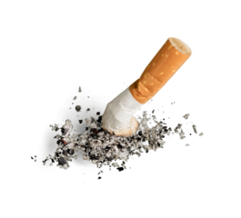 Cigarette butt Isolated