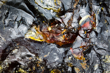 amber macro detail texture background. close-up raw rough unpolished semi-precious gemstone