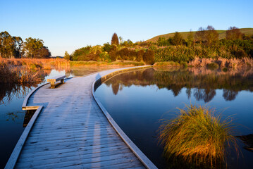 Sunrise in Peka Peka regional park, Hawke's Bay, New Zealand