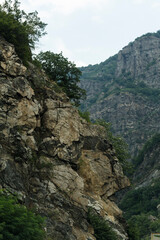 Rhodopes, are a mountain range in Southeastern Europe. Bulgaria. Tectonic dislocations are a violation of the occurrence of rocks under the influence of tectonic processes.