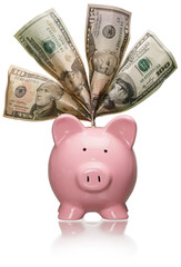 Piggy bank dollars money banknotes cash money box concept