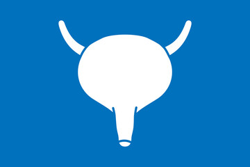 Human bladder symbol isolated on blue background. Human organ icon. Vector illustration.