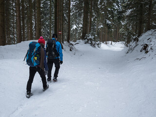 A man and a woman, both with backpacks, walk through a snowy forest