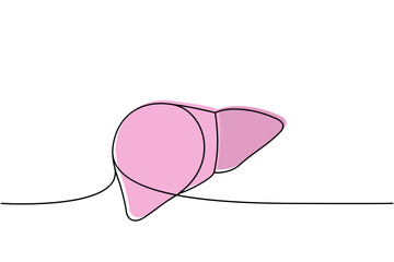 Human liver one line colored continuous drawing. Human organ continuous colorful one line illustration. Vector minimalist linear illustration.