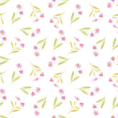 Fototapeta na wymiar watercolor seamless pattern with meadow wild flowers, pink chamomile, daisy. For decoration and design. Printing on postcards, paper, packaging, fabric. Wedding, romantic, natural style. Spring.