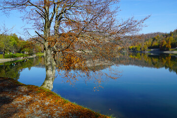 Autumn scene on a sunny day by the lake in the Croatian town of Fuzine