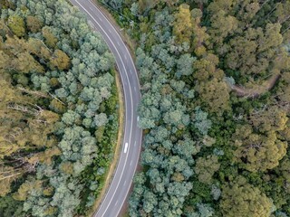 Aerial view of a highway road between high forest trees in Tasmania, Australia