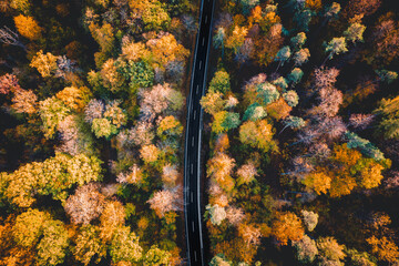 Wald, Herbst, Strasse, von oben, Drohnenaufnahme, Luftbild, Draufsicht