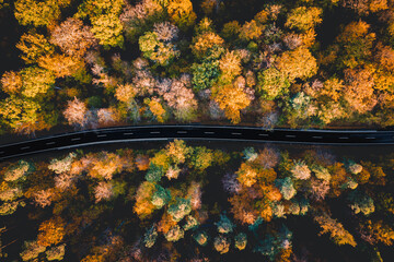 Wald, Herbst, Strasse, von oben, Drohnenaufnahme, Luftbild, Draufsicht - obrazy, fototapety, plakaty