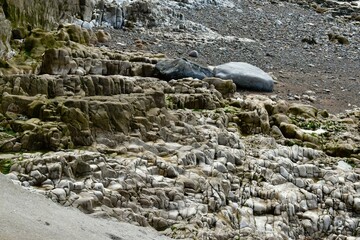 Water eroded rocks on the shore of Weston-super-Mare, Bristol Channel, England, UK