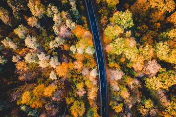 Wald, Herbst, Strasse, von oben, Drohnenaufnahme, Luftbild, Draufsicht - obrazy, fototapety, plakaty