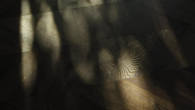 defocused shadows moving wooden floor foliage reflections sun beams blurred motion background. scary movements dark shadow abstract figures on brown surface. black shades lights wooden rustic ground