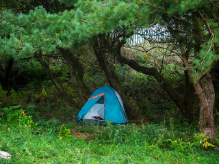 Blue tent under green trees in a park. Homeless life. Metal fence in the background. © mark_gusev