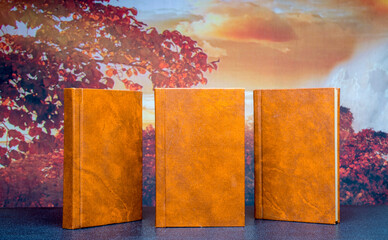 several books with the same binding on a dark background isolated. three books with a brown cover...