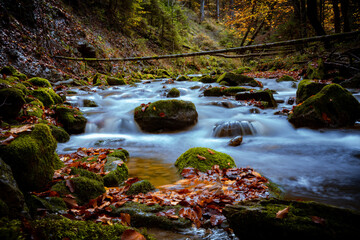 Wasserfall, Bach, Fluss, Wald, Steine, Moos, Wasser
