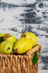 fresh pears from our own garden in a wicker basket. Home harvest, fresh picked organic fruits.