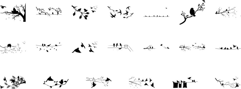 Bird icon collections vector design