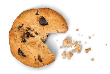 Partially eaten chocolate chip cookie