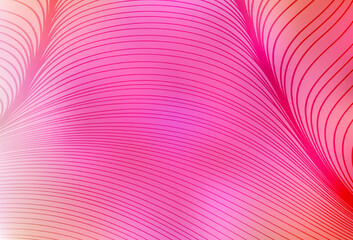 Light Pink vector background with curved lines.
