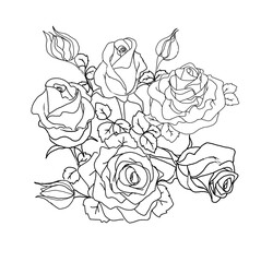 illustration bouquet of roses on transparent background.Flower hand draw for coloringbook.