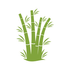 Obraz premium Bamboo tree logo