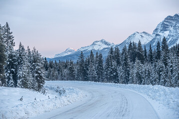 Obraz premium Icefields Pkwy