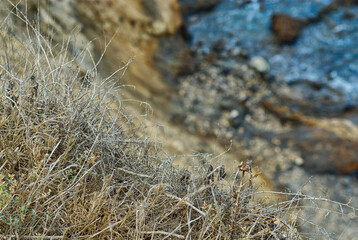 Danger. Cliff below.