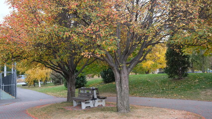 Naklejka premium Fall colors 