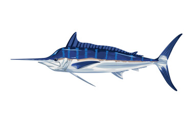 marlin marine life animal