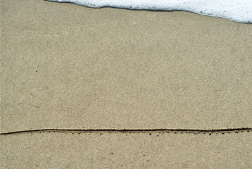 Line in the sand.
