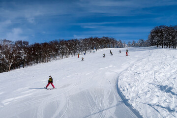 日本のスキー場でウインタースポーツを楽しむ人たち