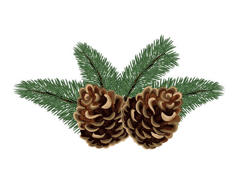 christmas pine firs and cones