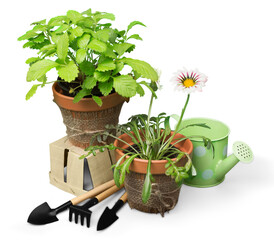 Close-up Gardening Equipment and plants on wooden table © BillionPhotos.com