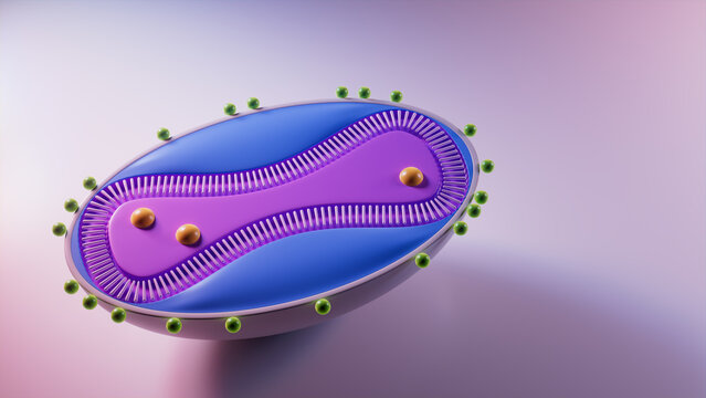 Monkeypox Virus Visualization with 3D Cell Structure. 3D Render with Copy-Space.