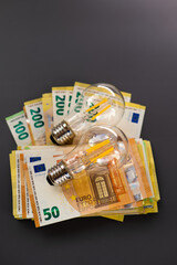 Crisis in the energy sector concept.Rising electricity prices.Paying electricity bills.Payment of electricity bills.Light bulbs set and euro banknotes on dark gray background.