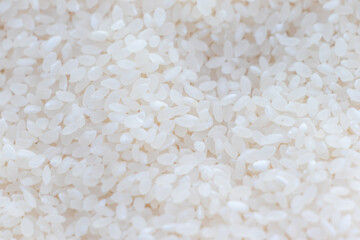 白い米粒の質感