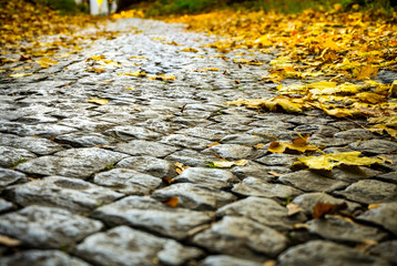 The road is strewn with yellow autumn leaves. autumn background. autumn road