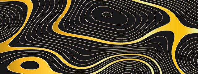The stylized colorful abstract topographic map with lines and circles background. Topographic map and place for texture. Topographic gradient linear background with copy space.  Vector illustration.