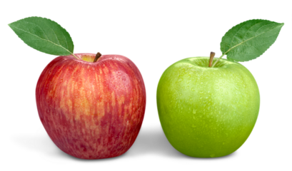 Two red and green apples isolated on white