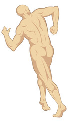 illustration on the human anatomy showing a male walking on isolated background