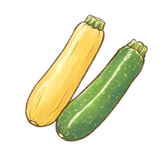 ズッキーニ（黄色と緑）水彩画（背景透過）