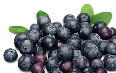 Fresh Ripe Blueberries on white background
