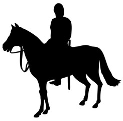 Illustration of a military horseman on horseback riding horse.