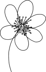 simplicity flower freehand continuous line drawing